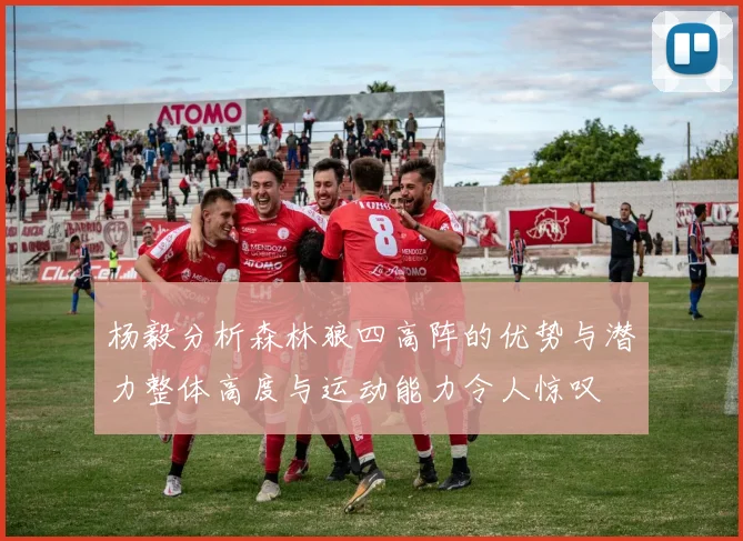 杨毅分析森林狼四高阵的优势与潜力整体高度与运动能力令人惊叹